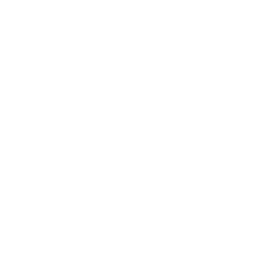 soup-icon